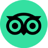 TripAdvisor Reviews