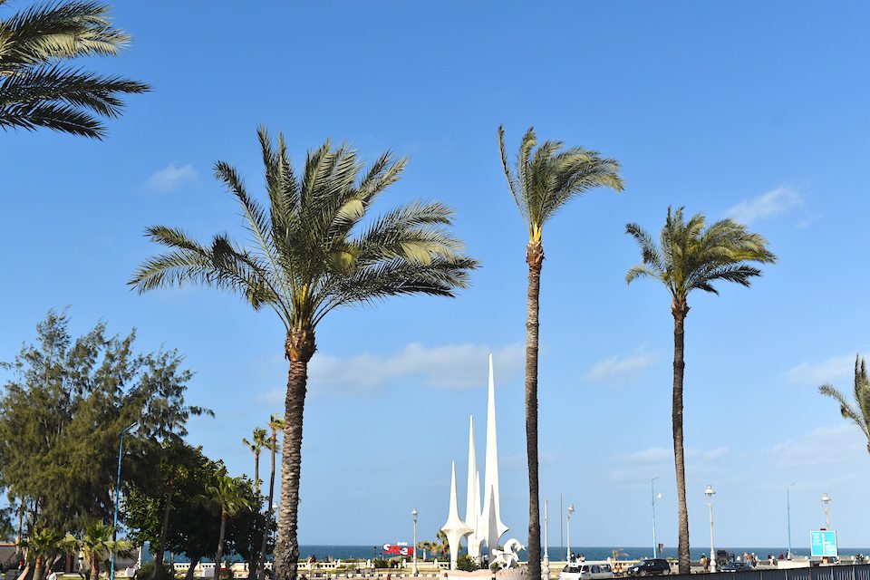 Alexandria City with the best beaches Alexandria memory statues