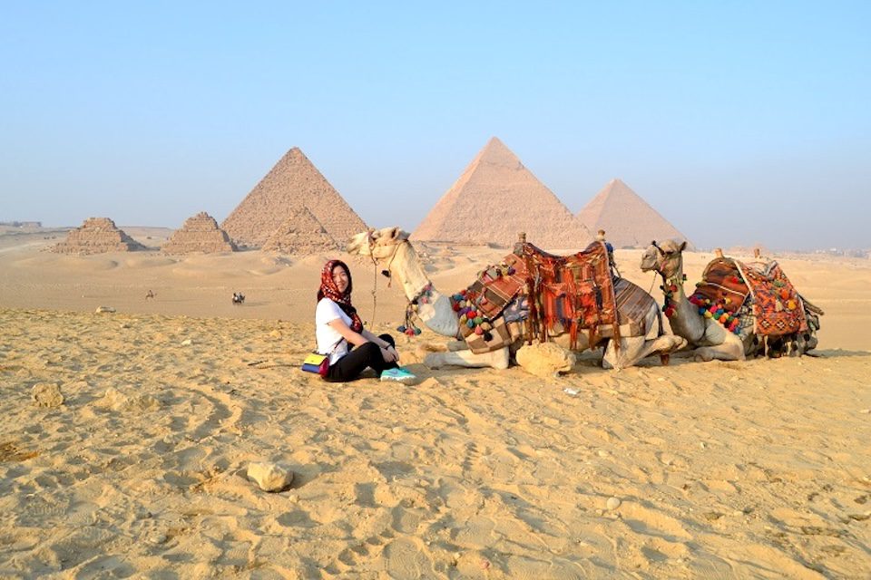 Camel and Giza Pyramids camel with the Pyramids in the desert of Egypt