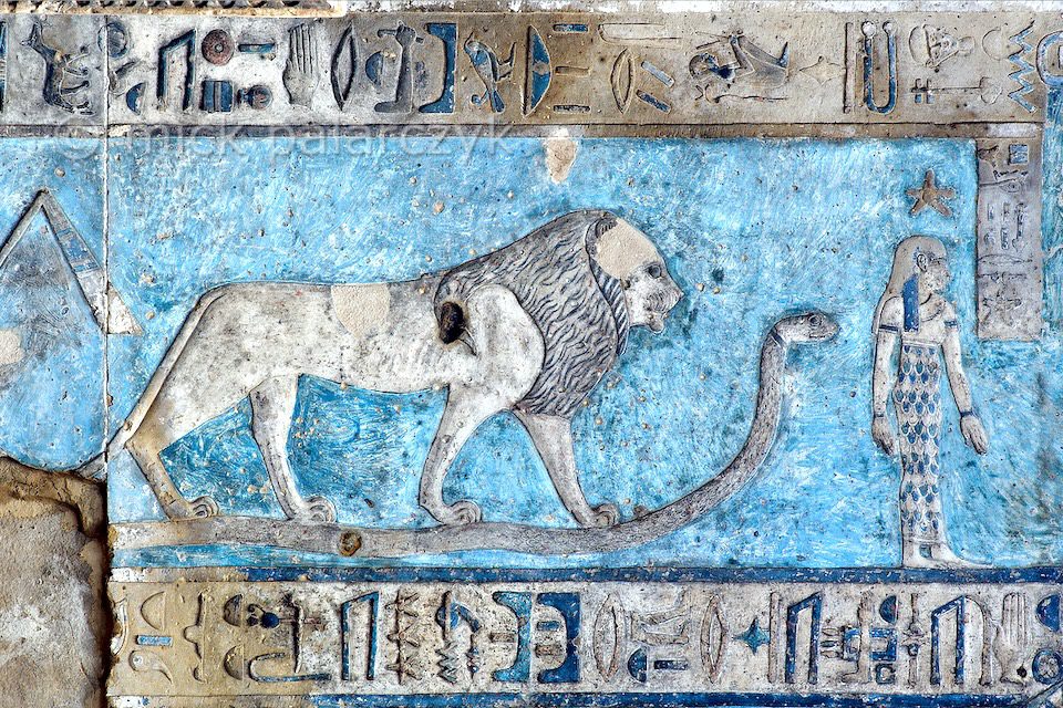 Dendera Temple a stone carving of a lion in temple in Egypt