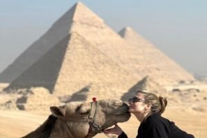 Camel and Giza Pyramids Trip