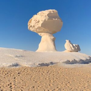 Whited Desert Safari