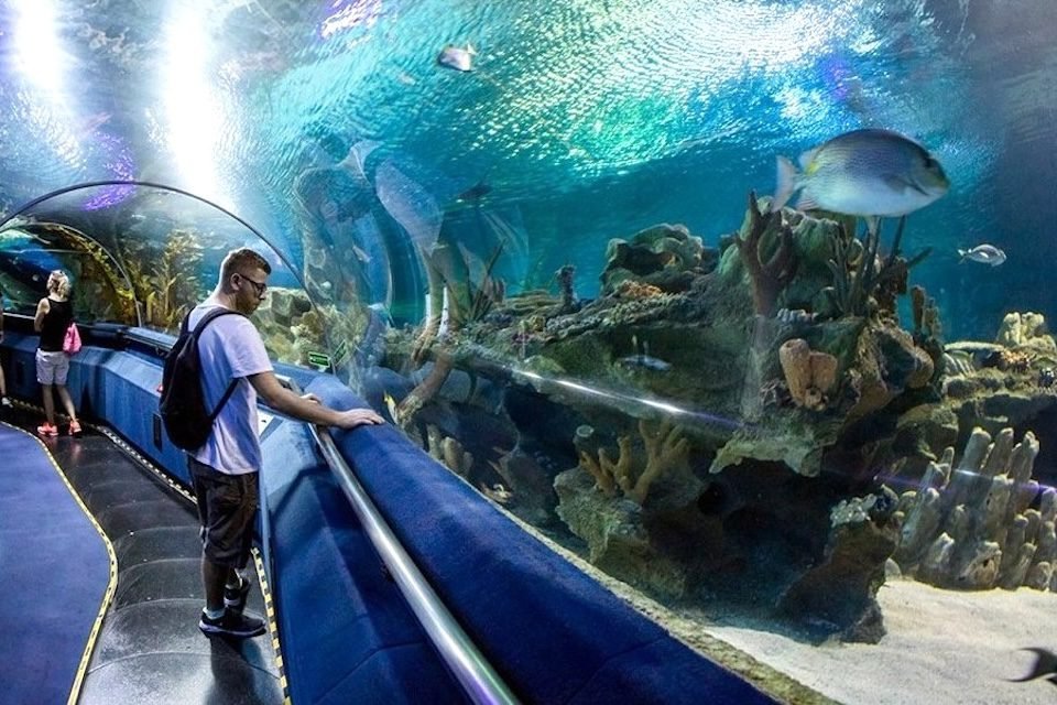 The Grand Aquarium in Hurghada